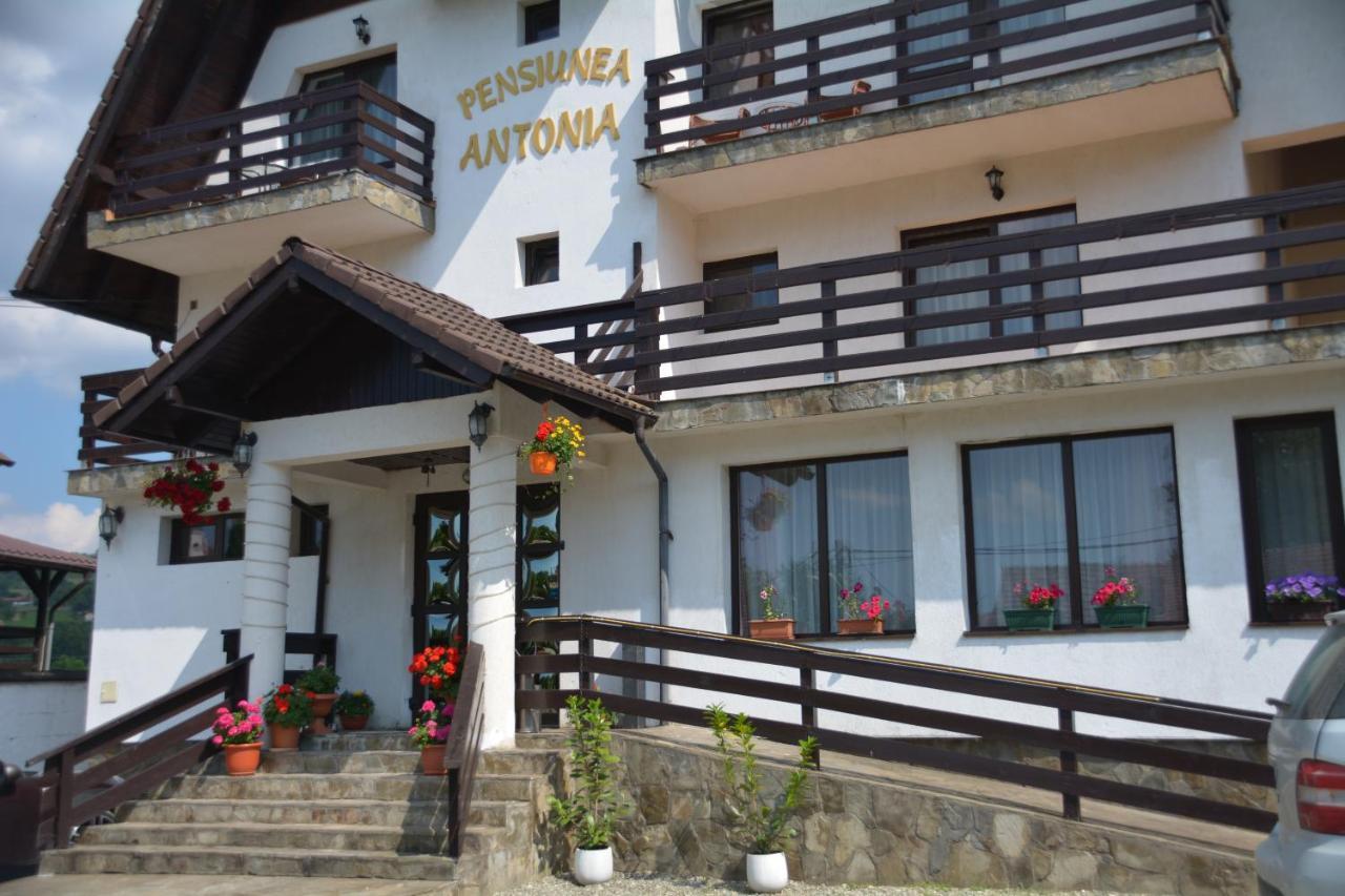 Pensiunea Antonia บราน ภายนอก รูปภาพ